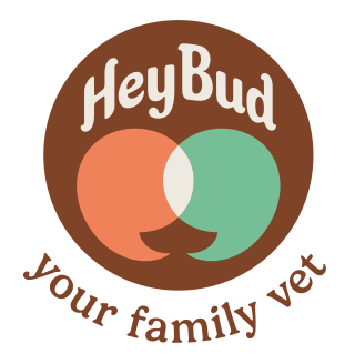 Hey Bud logo