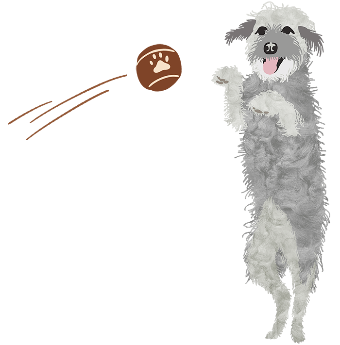 illustration of a golden retriever meeting an excited black and white terrier dog